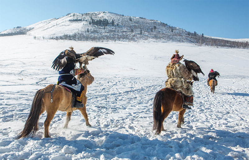 eagle training winter photos mongolia 